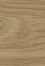 Michigan Oak